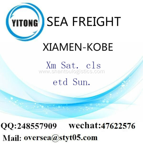 Xiamen Port LCL Consolidation To Kobe